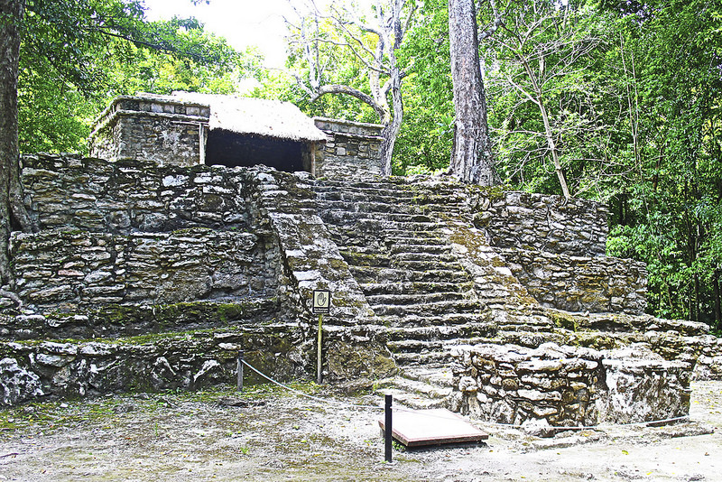 シアン・カアンの画像10