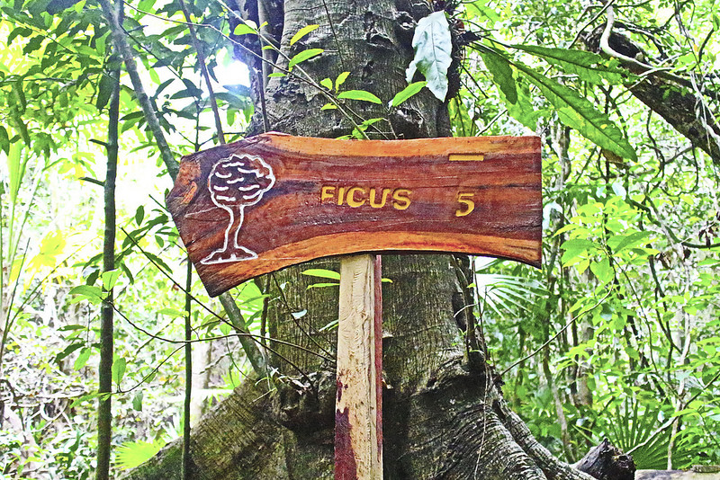 シアン・カアンの画像11