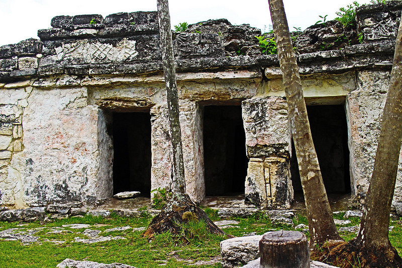 シアン・カアンの画像15