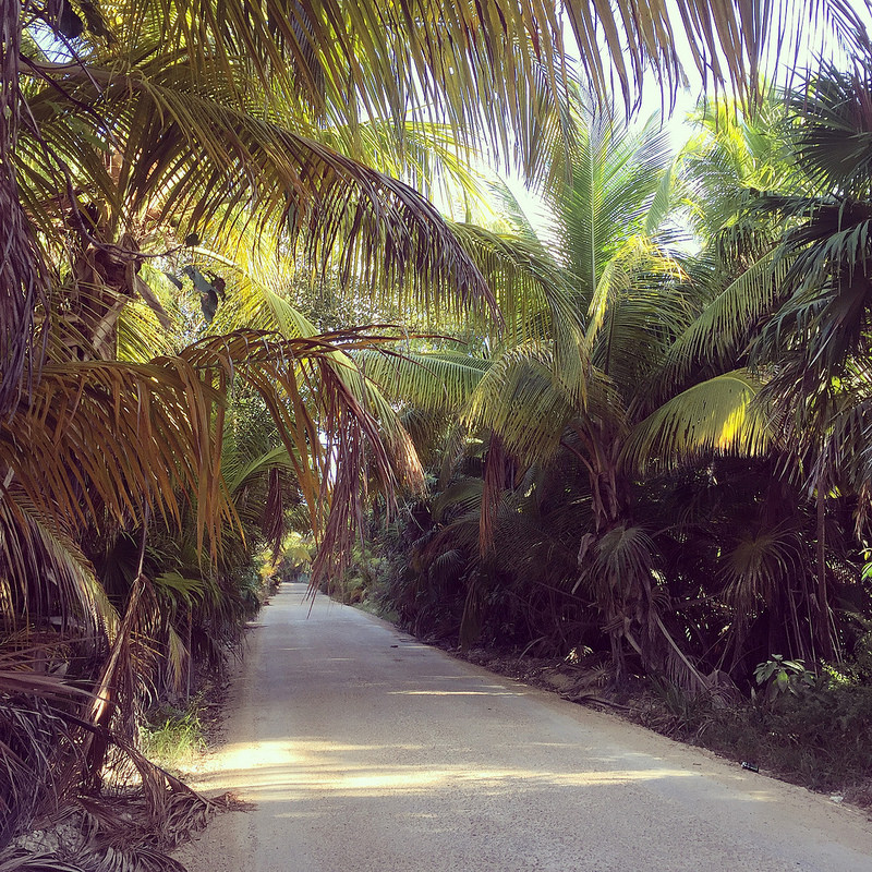 シアン・カアンの画像18