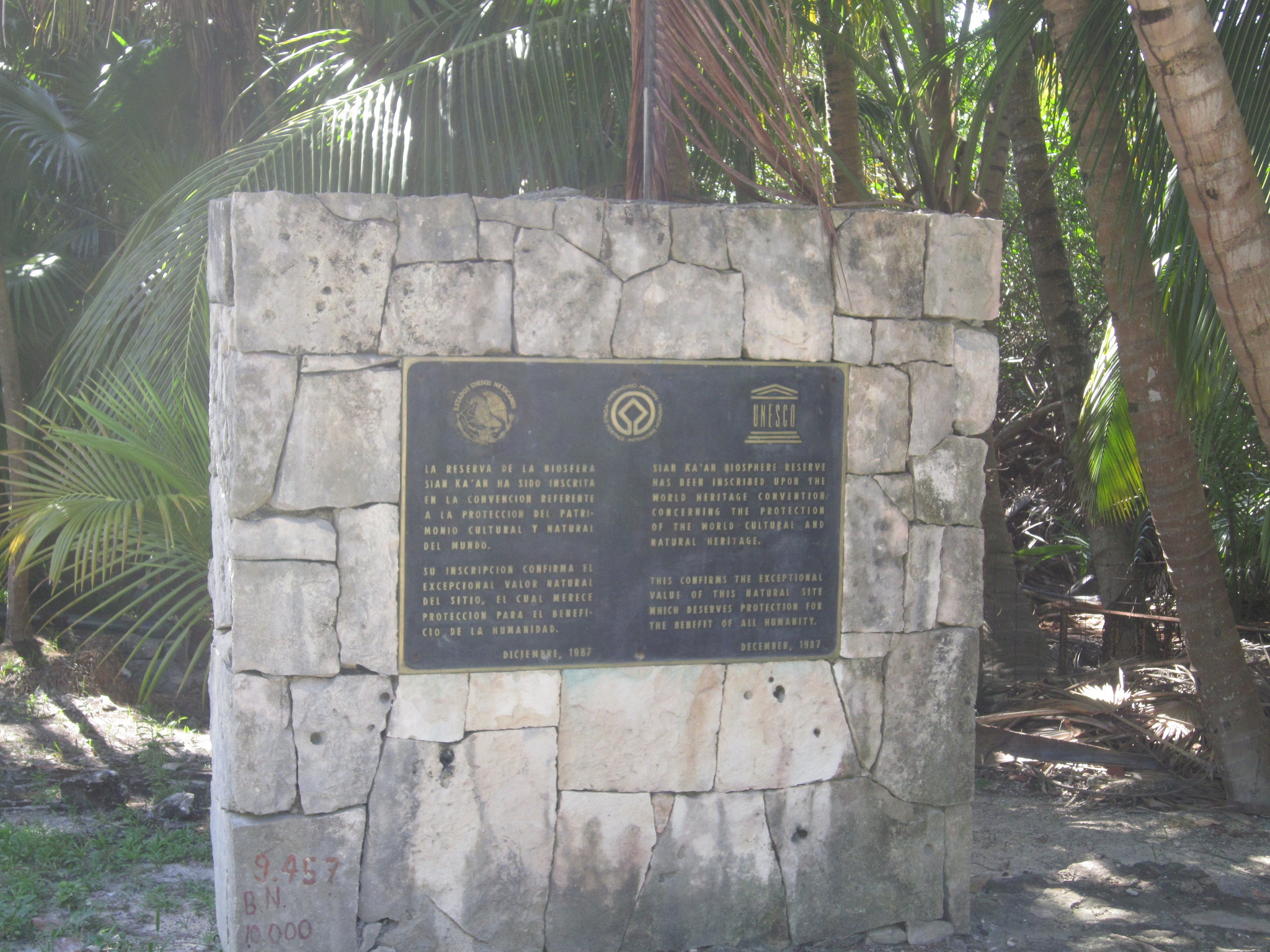 シアン・カアンの画像21