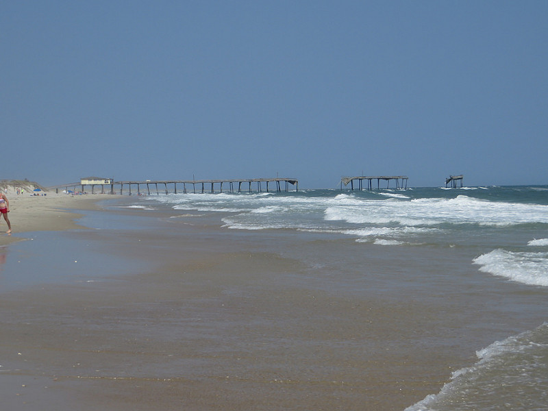 カリフォルニア湾の島々と保護地域群の画像2