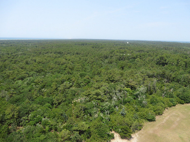 カリフォルニア湾の島々と保護地域群の画像14