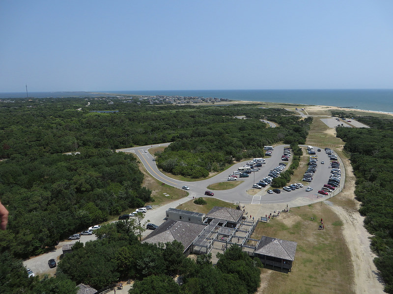 カリフォルニア湾の島々と保護地域群の画像16