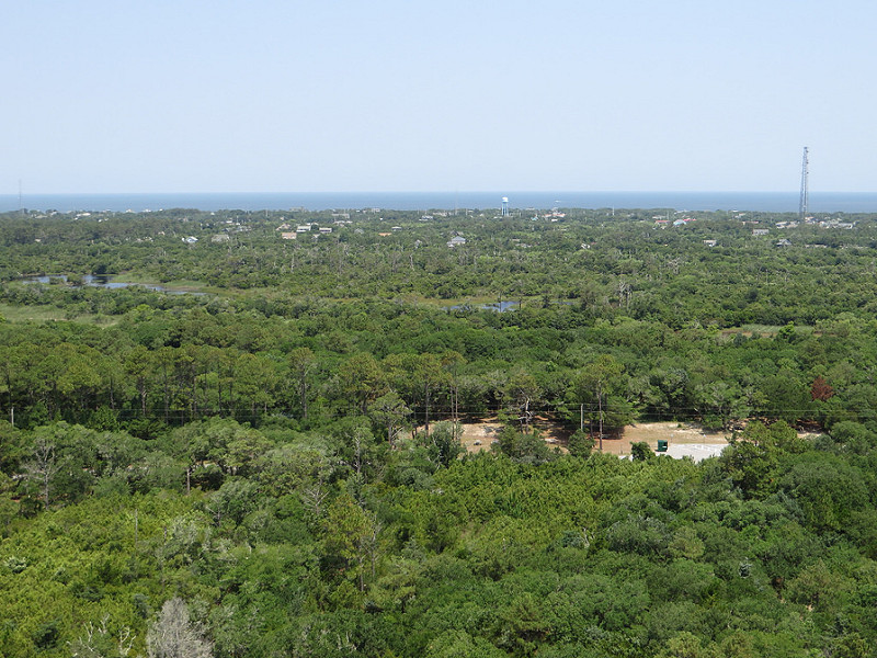 カリフォルニア湾の島々と保護地域群の画像24