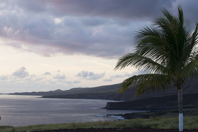 レビジャヒヘド諸島の画像11