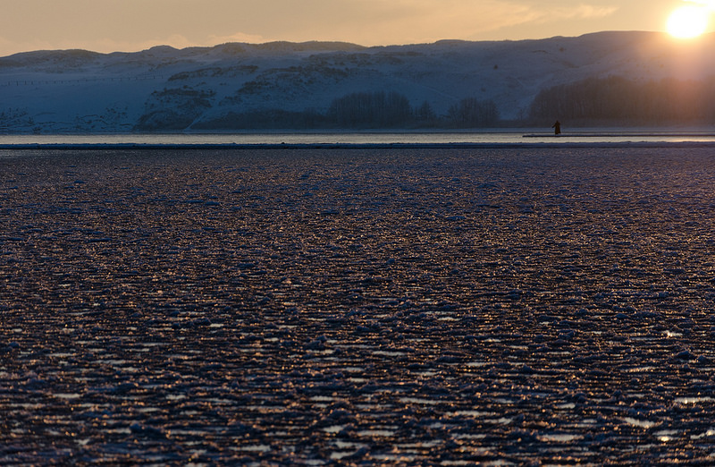 クルシュー砂州の画像2