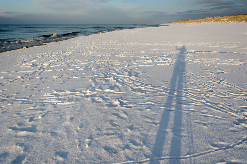 クルシュー砂州の画像6