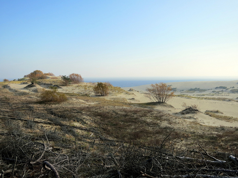 クルシュー砂州の画像15