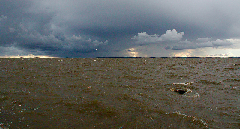 クルシュー砂州の画像16