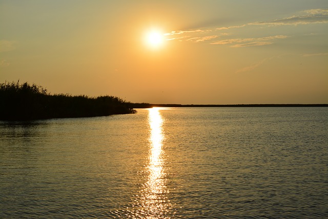 ドナウ・デルタの画像2