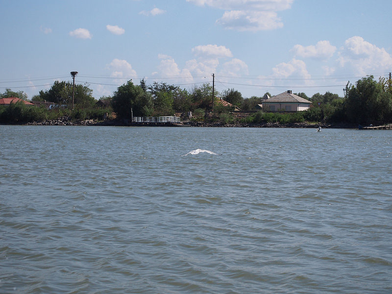 ドナウ・デルタの画像12