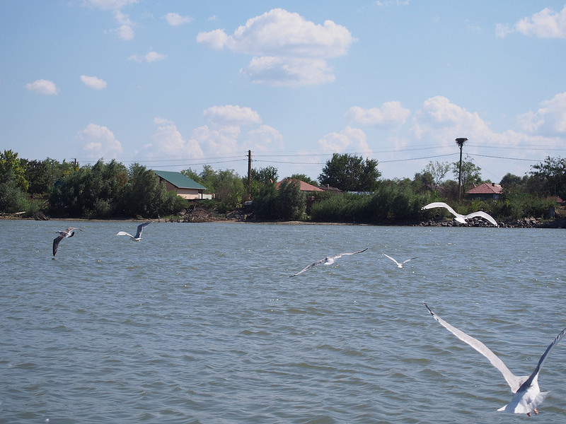 ドナウ・デルタの画像13