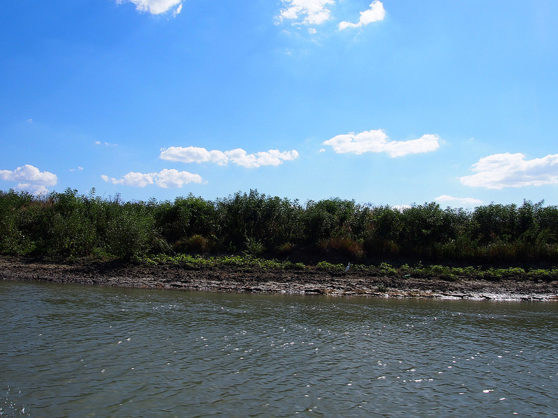 ドナウ・デルタの画像14