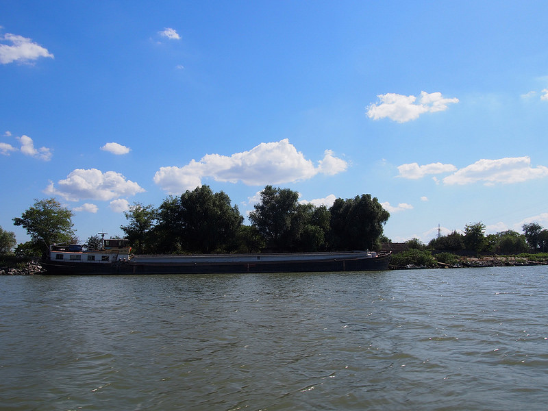 ドナウ・デルタの画像16