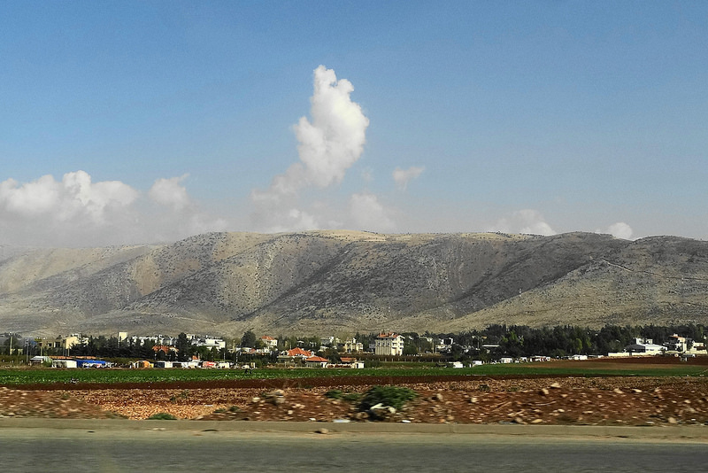 アンジャルの画像4