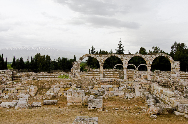 アンジャルの画像7