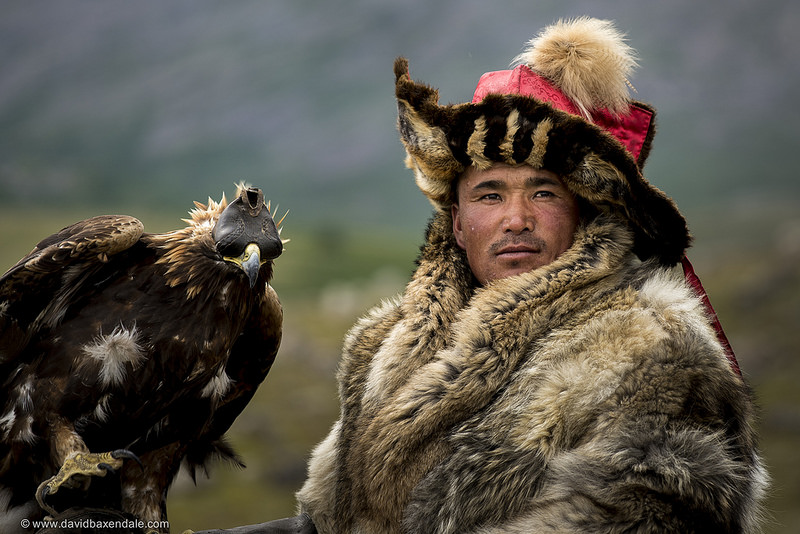 アルタイのゴールデン・マウンテンの画像8