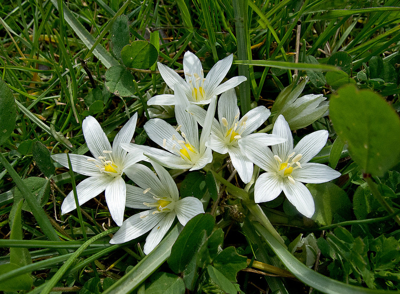 西コーカサス山脈の画像7