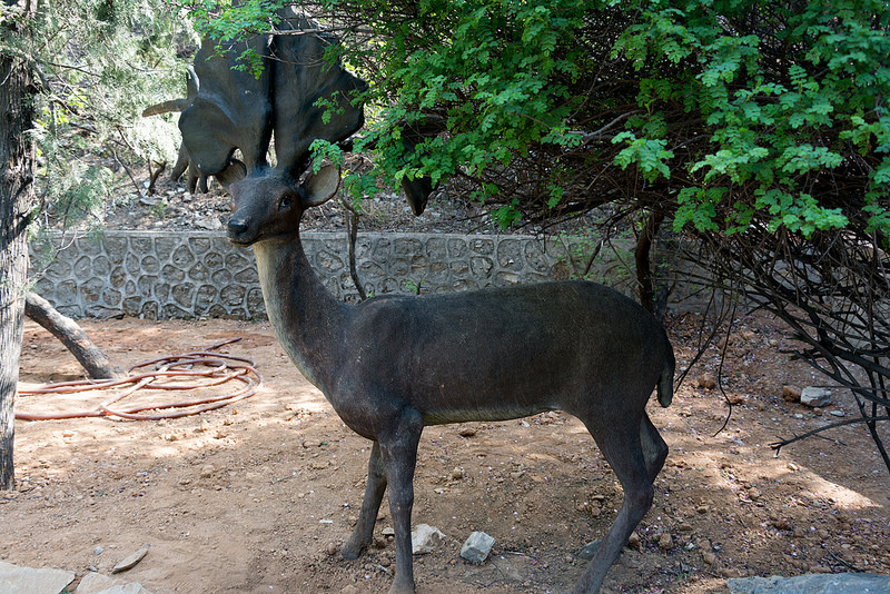 北京原人化石出土の周口店遺跡の画像12