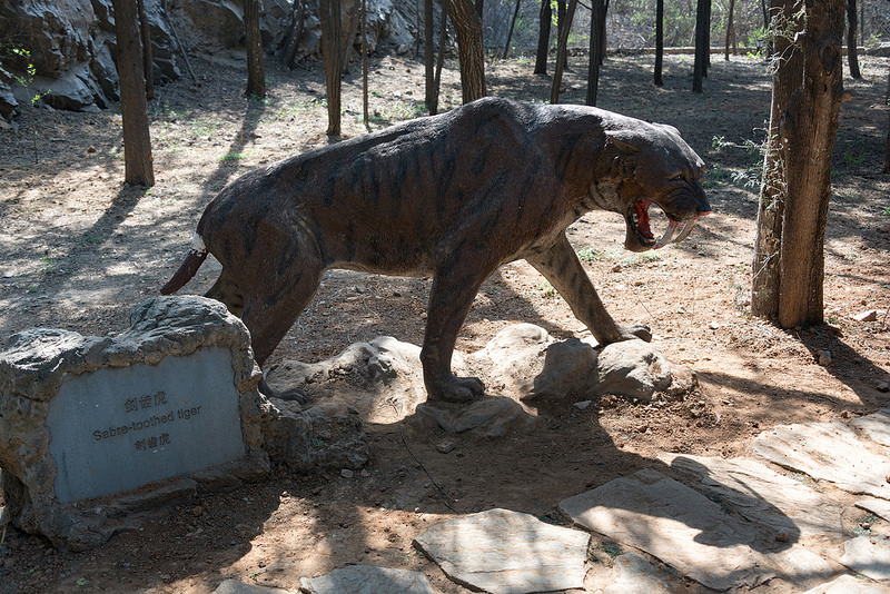 北京原人化石出土の周口店遺跡の画像18