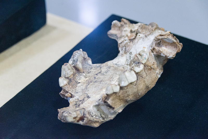 北京原人化石出土の周口店遺跡の画像24