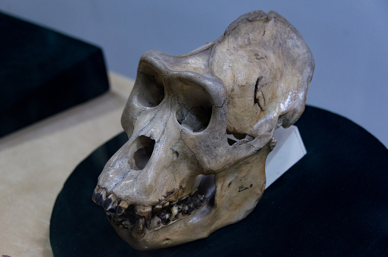 北京原人化石出土の周口店遺跡の画像26