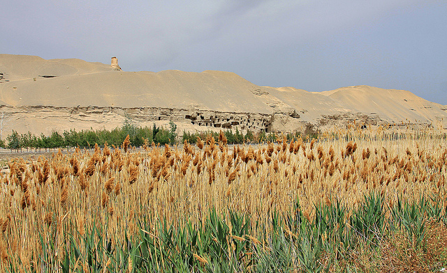 敦煌の莫高窟の画像18