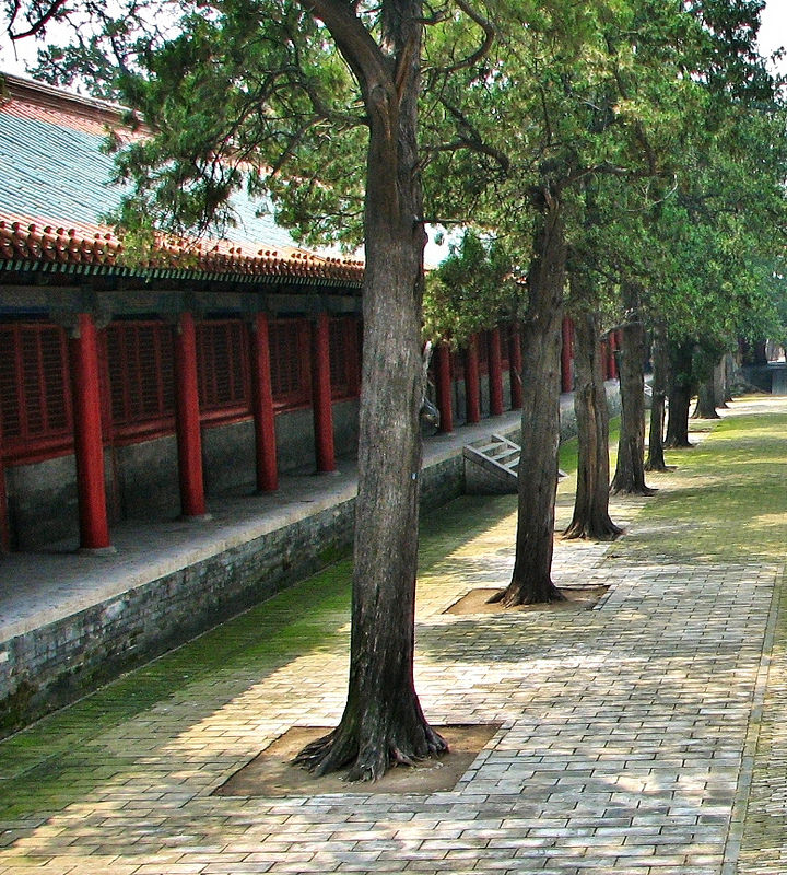 曲阜の孔廟、孔林、孔府の画像8