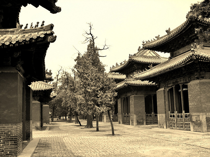 曲阜の孔廟、孔林、孔府の画像13