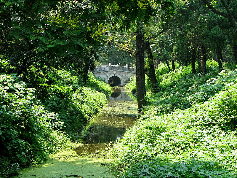 曲阜の孔廟、孔林、孔府の画像28