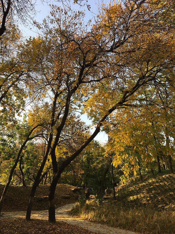 頤和園、北京の皇帝の庭園の画像3