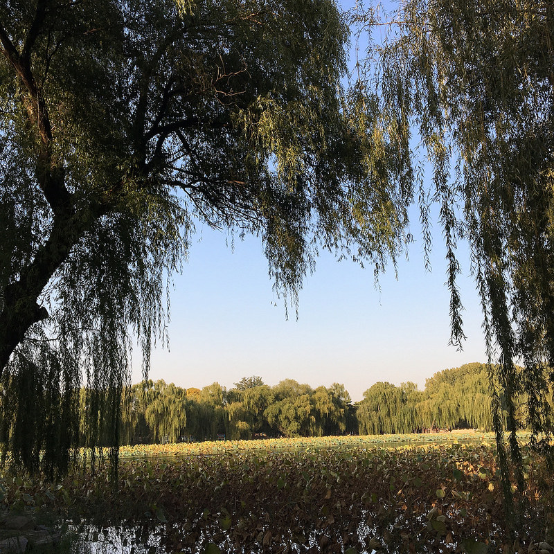 頤和園、北京の皇帝の庭園の画像12