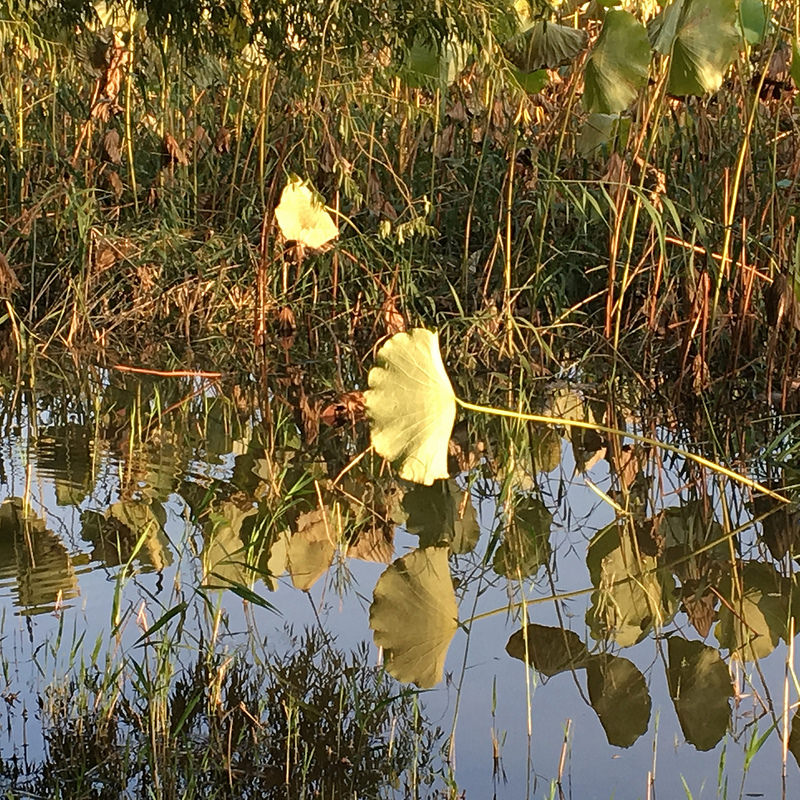 頤和園、北京の皇帝の庭園の画像14