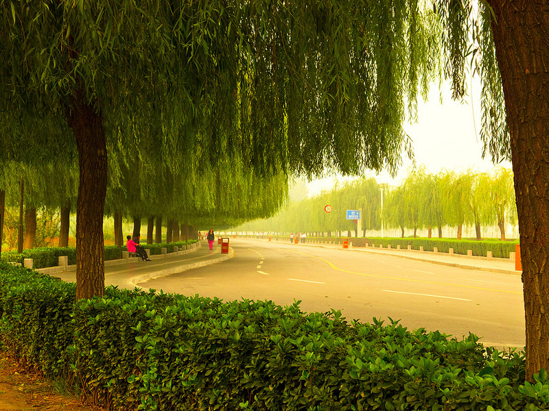 龍門石窟の画像4