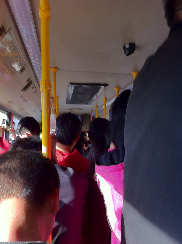 龍門石窟の画像7