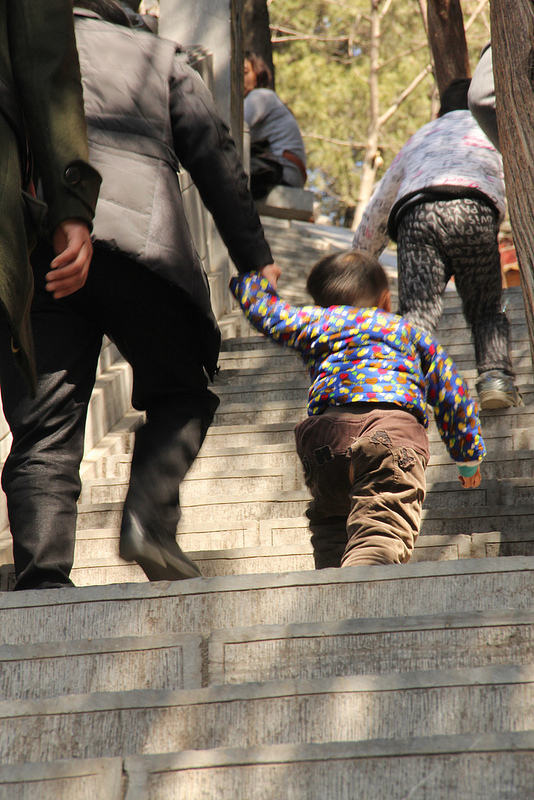 龍門石窟の画像14