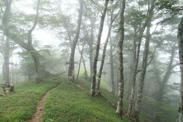 大峯奥駈道の画像2