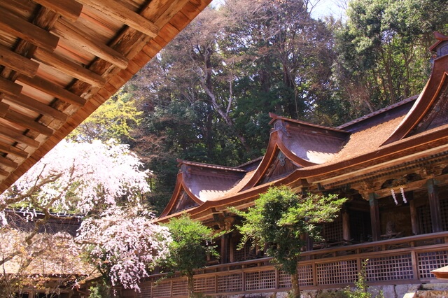吉野水分神社の画像1