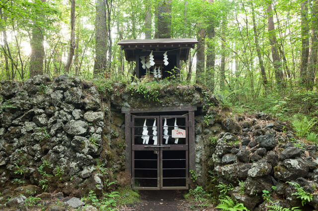 吉田胎内樹型の画像1