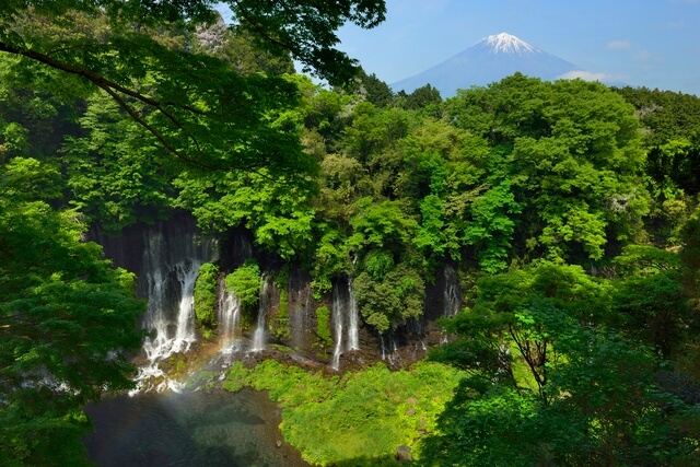 白糸ノ滝の画像1