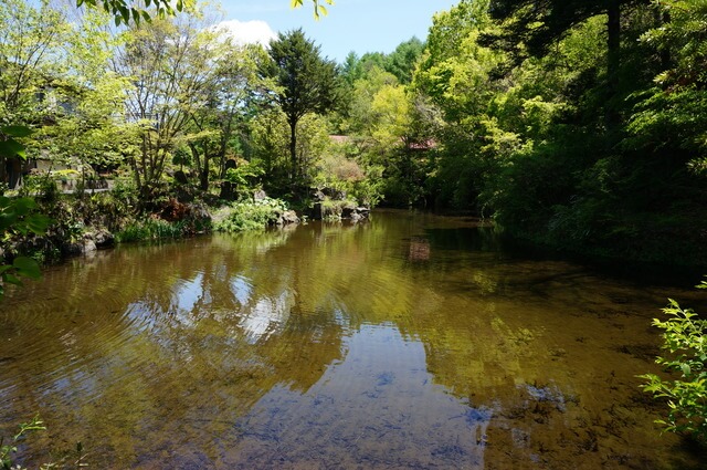 忍野八海：出口池の画像1