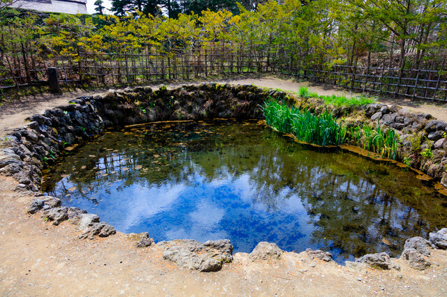 忍野八海：銚子池の画像1