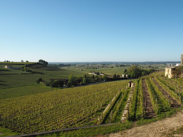 サン・テミリオン地域の画像2