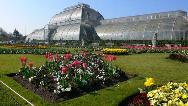 キュー王立植物園の画像1