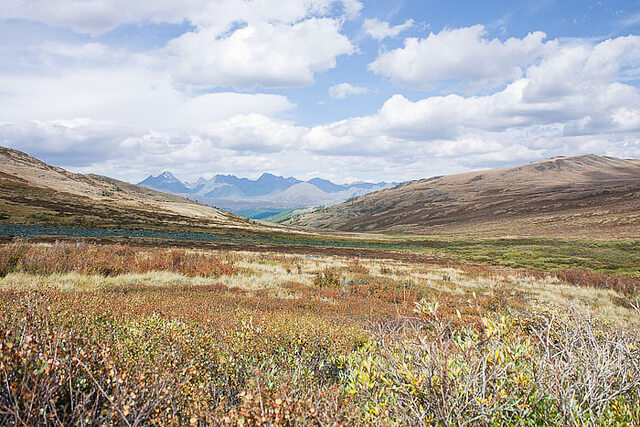ウコク高原の保護区の画像1