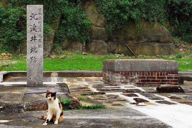 高島炭鉱の画像1