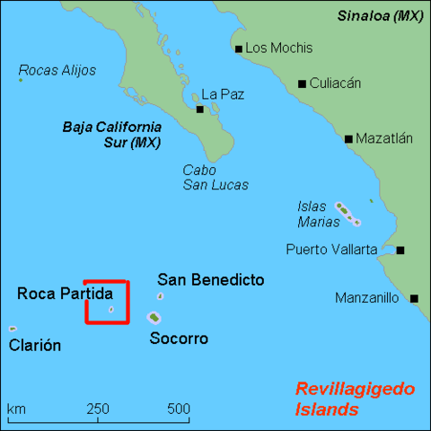 ロカ・パルティダ島の画像2