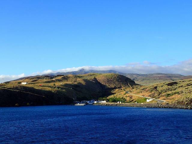 レビジャヒヘド諸島の画像12