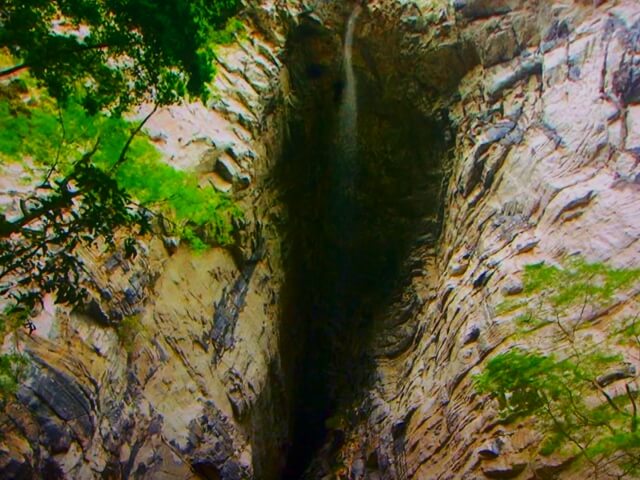 アルト・リベイラ州立観光公園（PETAR）の画像1